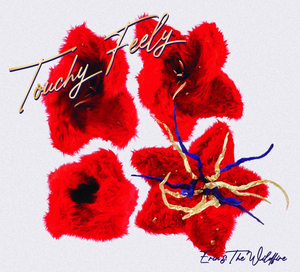 Erin & The Wildfire Release Highly Anticipated Sophomore Record 'Touchy Feely' Image