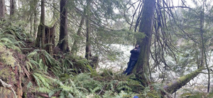 Southern Lord to Premiere Full-Length Record, Forest Nocturne Image