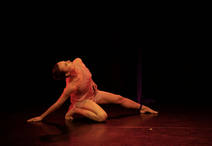 Amanda Selwyn Dance Theatre to Premiere THREADS 