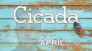 Review: CICADA at Theatre Memphis Image