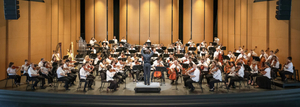 The Brevard Project to Host Orchestra Intensive 