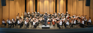 The Brevard Project to Host Orchestra Intensive Image