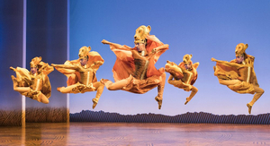 Review: THE LION KING at Bass Concert Hall Image