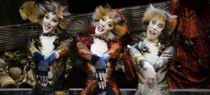 CATS Comes to Theater 11 Zurich Image