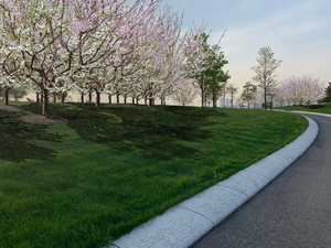 The Trust for Governors Island to Unveil The Open Orchard in Spring 2022  Image