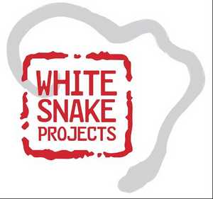 White Snake Projects Receives $750K Mellon Grant 