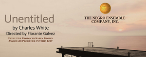 The Negro Ensemble Company, Inc. Announces Emerging Playwrights Competition Image