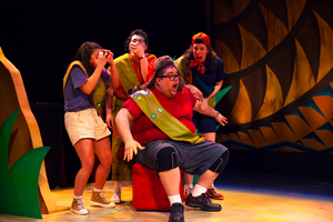 Review: TIN CAT SHOES from Washington Ensemble Theatre Image