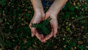 Student Blog: Can Theatre Be More Eco-Friendly? Image