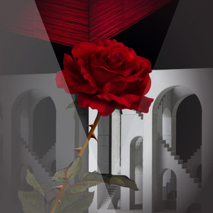 Opera Orlando Announces Student Rush Tickets for RIGOLETTO Image