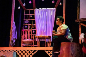 Review: THE ABSOLUTELY AMAZING AND TRUE ADVENTURES OF MS. JOAN EVELYN SOUTHGATE at Cleveland Public Theatre 
