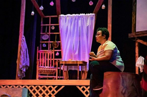 Review: THE ABSOLUTELY AMAZING AND TRUE ADVENTURES OF MS. JOAN EVELYN SOUTHGATE at Cleveland Public Theatre  Image