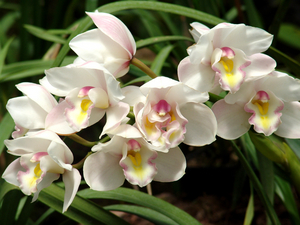 MOTHER'S DAY GIFTING-Don't Miss Out on These Image