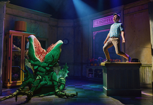 LITTLE SHOP OF HORRORS Announces 40th Anniversary Celebrations Image