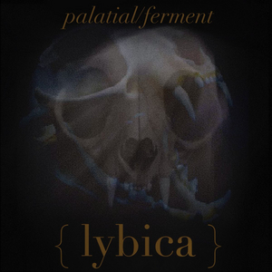 Lybica, Feat. KsE Drummer Justin Foley, Shares Double Single 'Palatial' & 'Ferment' Image