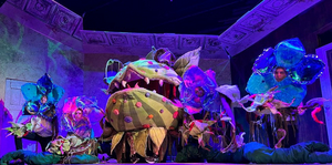 Review: LITTLE SHOP OF HORRORS at University Of Central Arkansas Theatre 