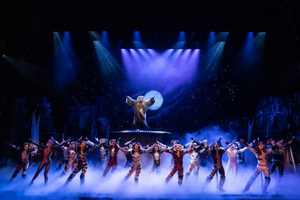 Review: A 'Practical CATS' Performance at Proctors Image