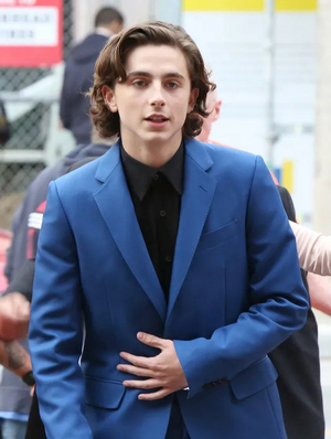 Timothée Chalamet's West End Stage Debut in 4000 MILES Cancelled At London's Old Vic Image