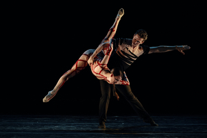 Review: CRYPTO at Bluma Appel Theatre Is Beautiful But Bleak Image