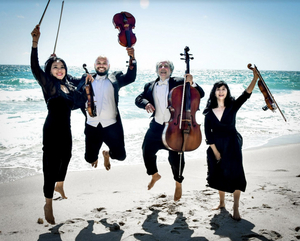 South Florida Symphony Orchestra to Present Summer Chamber Music Series 