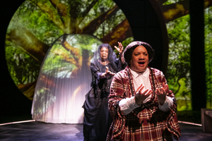 Review: MARYS SEACOLE at Mosaic Theater Company 