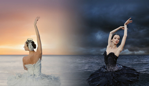 The National Ballet of Canada Announces Principal Cast of SWAN LAKE 