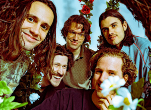 Post Animal Release New Album 'Love Gibberish' Image