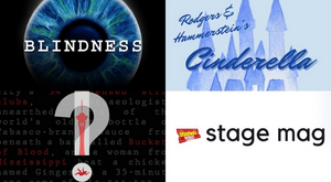 BLINDNESS, THE LIFESPAN OF A FACT & More - Check Out This Week's Top Stage Mags 
