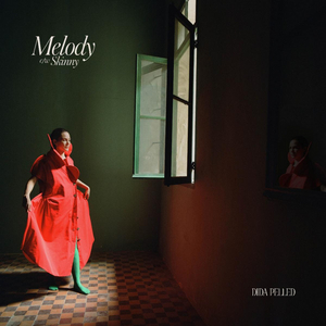 Dida Pelled Releases New Single 'Melody' Along With B-Side Track 'Skinny' Image
