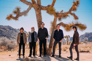Drive-by Truckers Share New Song 'The Driver' Image