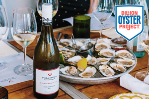 Villa Maria Announces Corporate Sponsorship of NYC's Billion Oyster Project 