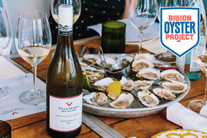 Villa Maria Announces Corporate Sponsorship of NYC's Billion Oyster Project Image