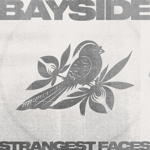Bayside Release New Single 'Strangest Faces' 