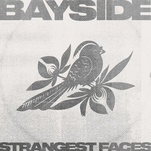 Bayside Release New Single 'Strangest Faces' Image