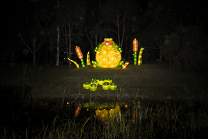 Emerge Festival Comes To The Mount Waverley Community Centre Gardens For Five Nights This Winter Image