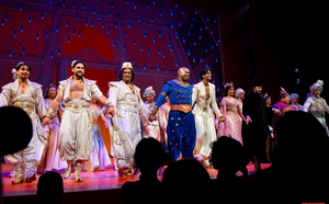Tonight's Performance of ALADDIN Cancelled Due to Illness in the Company 