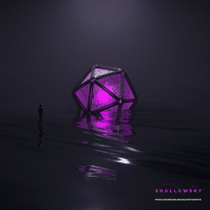 Shallowsky Release New Single 'Musclesareuselessagainstghosts' 