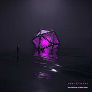 Shallowsky Release New Single 'Musclesareuselessagainstghosts' Image