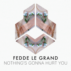 Fedde Le Grand Drops New Hit 'Nothing's Gonna Hurt You' 
