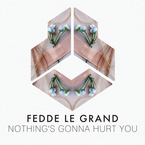 Fedde Le Grand Drops New Hit 'Nothing's Gonna Hurt You' Image