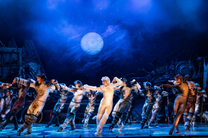 Review: CATS at DCPA Image