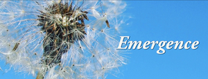 Theater 29 Returns to Live Performances with EMERGENCE Image