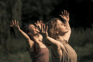 Warrington Museum to Host Trio of Dancers and Orchestra in Commission Image