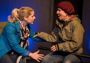 OUT ON A LIMB Comes to Scripps Ranch Theatre This Month Image