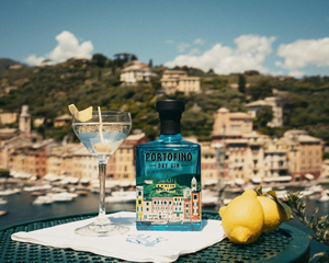 Make Martinis for Dad with PORTOFINO DRY GIN Image