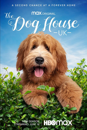 VIDEO: HBO Max Shares Trailer for Season Three Of THE DOG HOUSE: UK Image