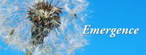 Theater 29 to Present EMERGENCE This Month Image