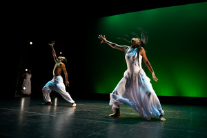 STG Presents 24th Annual DANCE THIS Show Image