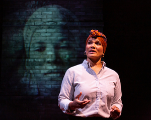 Review: FIRES IN THE MIRROR: CROWN HEIGHTS, BROOKLYN AND OTHER IDENTITIES at Theater J 