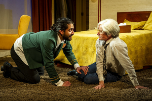 Review: ANDY WARHOL IN IRAN at Barrington Stage Company Image